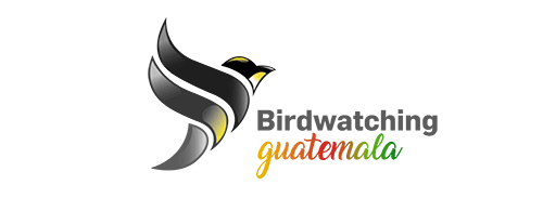 Birdwatching Guatemala